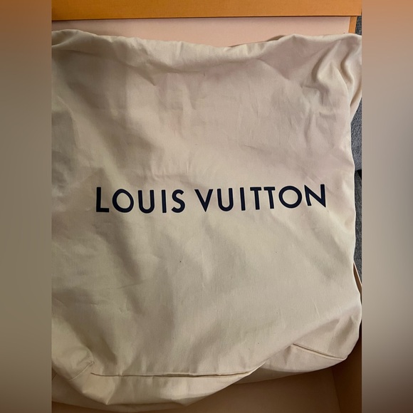 Louis Vuitton Artsy MM - Picture 15 of 16